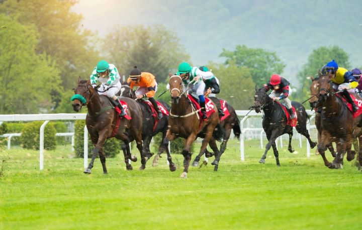 Horse Racing Scene