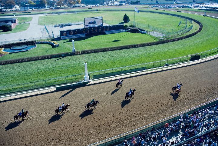 Horse Racing Track