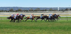 Horses Racing Run Style