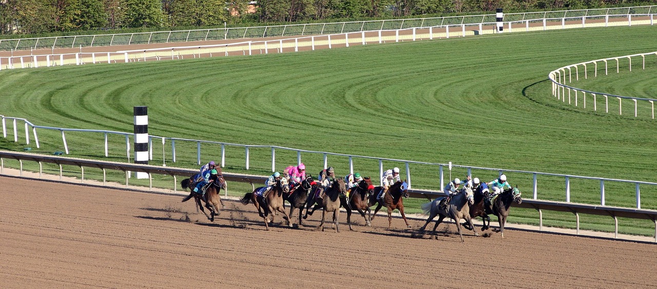 View of horse racing on dirt track zoomed out.