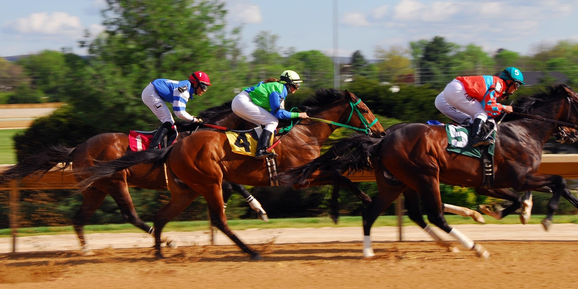 Horses racing - Maiden Races Explained Featured Image